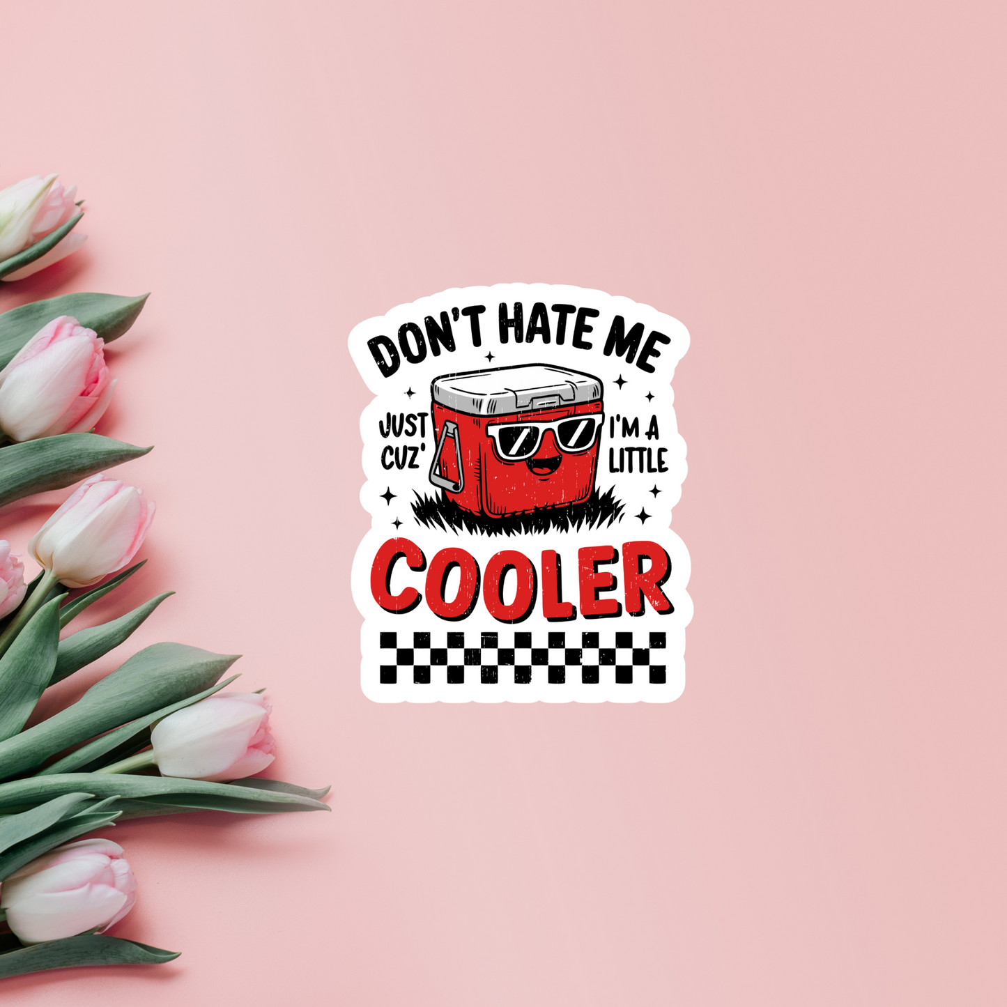 Don't Hate Me Cuz I'm A Little Cooler Vinyl Sticker ,Laptop, scrapbook, junk journal ,crafts, Water Bottle